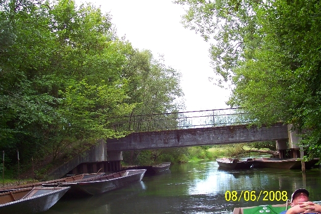 Bild 118.jpg - Saukopfbrücke im Taubergießen bei Kappel